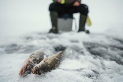 Hogyan tároljuk a horgászfelszerelést télen?